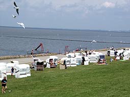 Nordsee Wattenmeer und grüner Strand mit Strandkörben Ruhe und Erholung